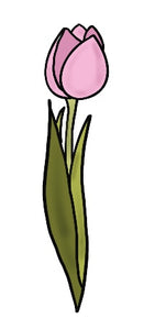 Tall Tulip 3