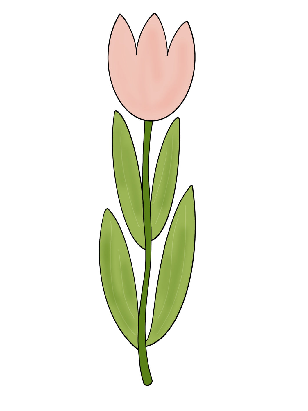 Tall Tulip