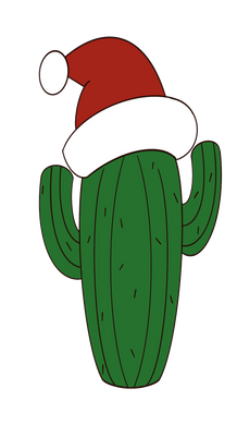 Cactus w/ Santa Hat